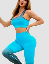 Gradient Edition Fitness Ensemble