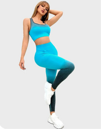 Gradient Edition Fitness Ensemble