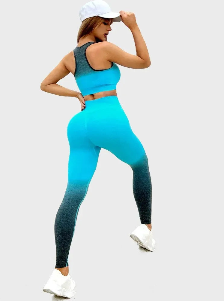 Gradient Edition Fitness Ensemble